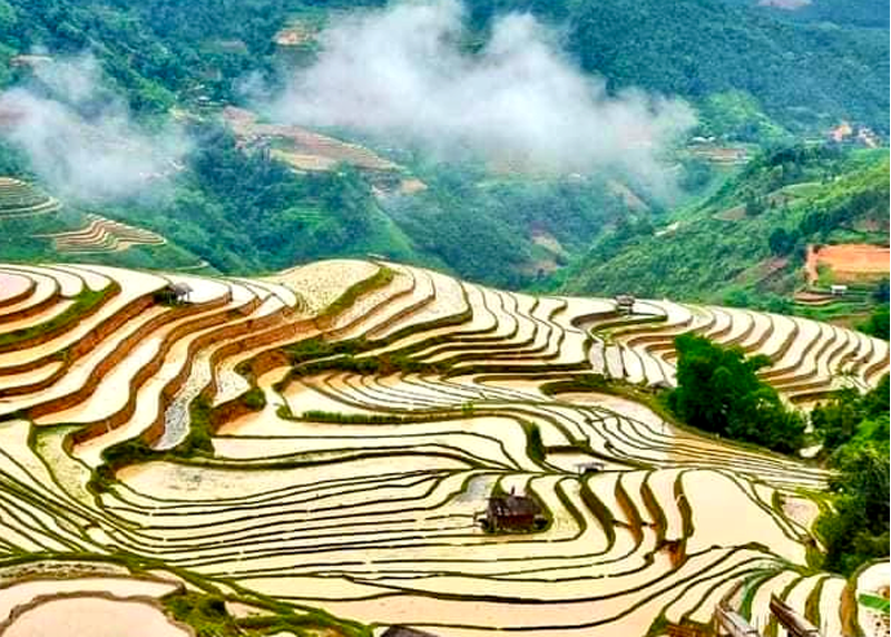 Ruộng bậc thang mùa nước đổ ở Hoàng Su Phì. Ảnh: PV